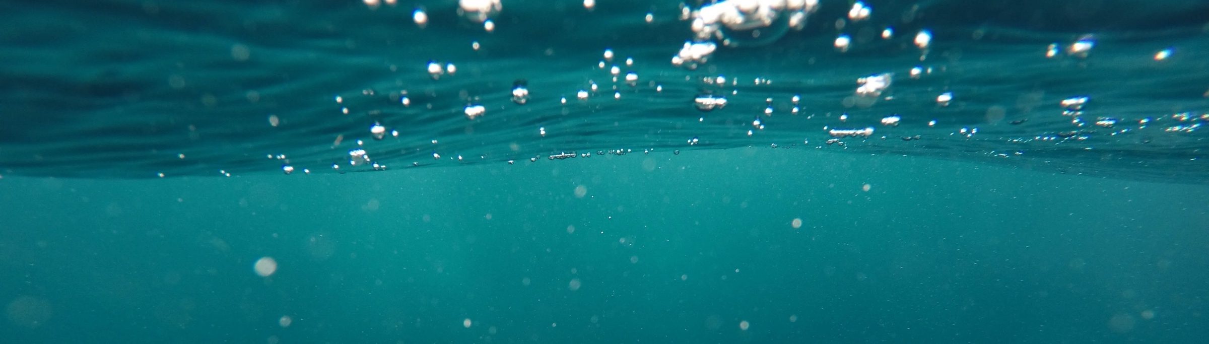 Latest News & Events from Waterworld Diving in Kerry